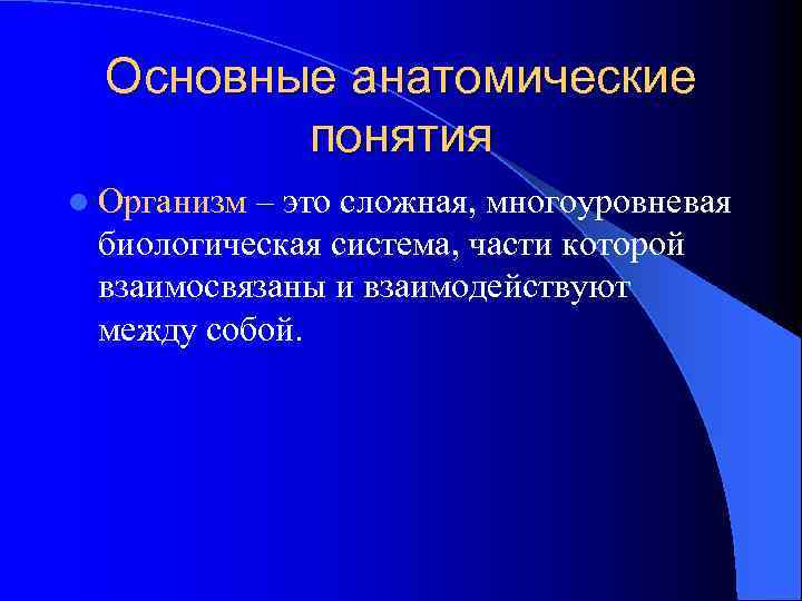 Основные анатомические понятия l Организм – это сложная, многоуровневая биологическая система, части которой взаимосвязаны
