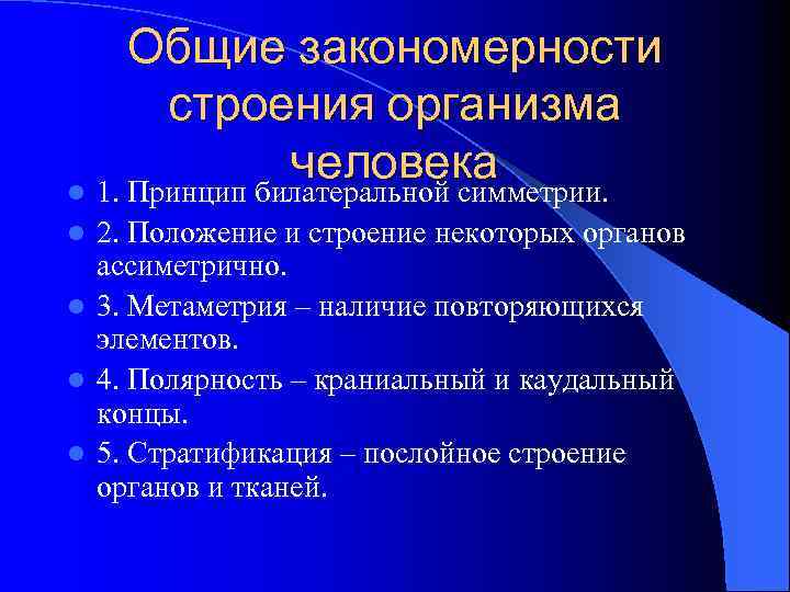 Общие закономерности строения организма человека l 1. Принцип билатеральной симметрии. 2. Положение и строение