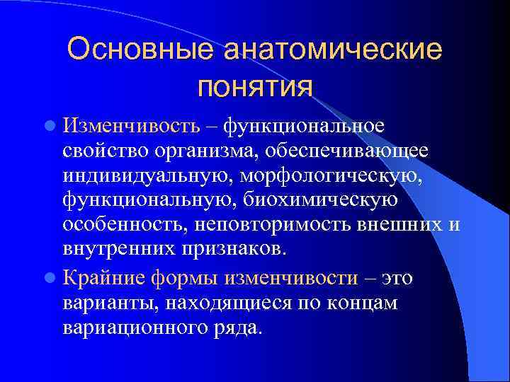 Основные анатомические понятия l Изменчивость – функциональное свойство организма, обеспечивающее индивидуальную, морфологическую, функциональную, биохимическую