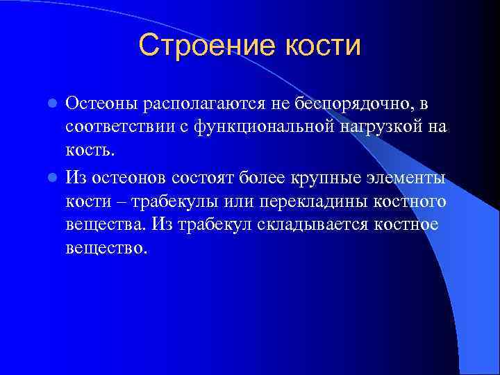 Строение кости Остеоны располагаются не беспорядочно, в соответствии с функциональной нагрузкой на кость. l