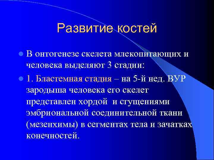 Развитие костей l. В онтогенезе скелета млекопитающих и человека выделяют 3 стадии: l 1.