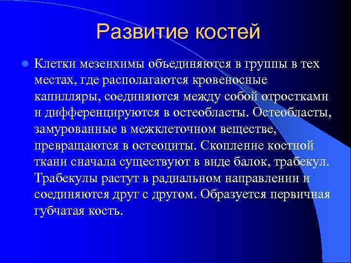 Развитие костей l Клетки мезенхимы объединяются в группы в тех местах, где располагаются кровеносные