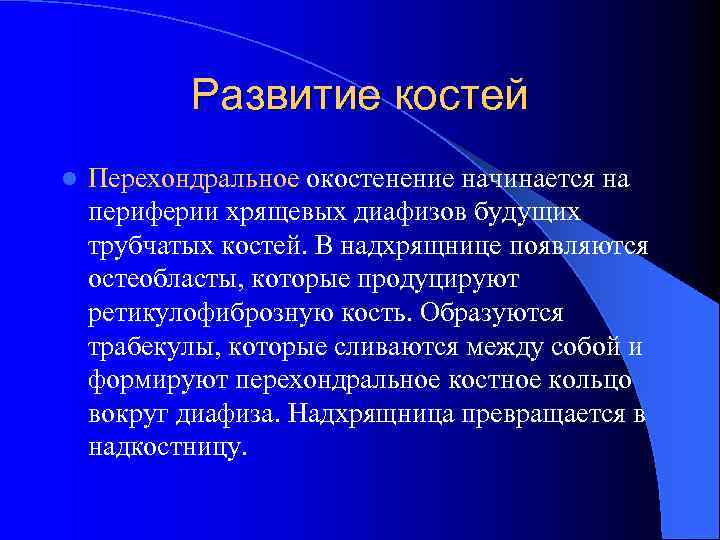 Развитие костей l Перехондральное окостенение начинается на периферии хрящевых диафизов будущих трубчатых костей. В