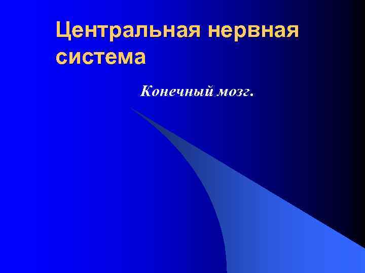 Центральная нервная система Конечный мозг. 