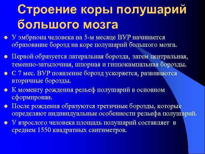 Строение коры полушарий большого мозга l У эмбриона человека на 5 -м месяце ВУР