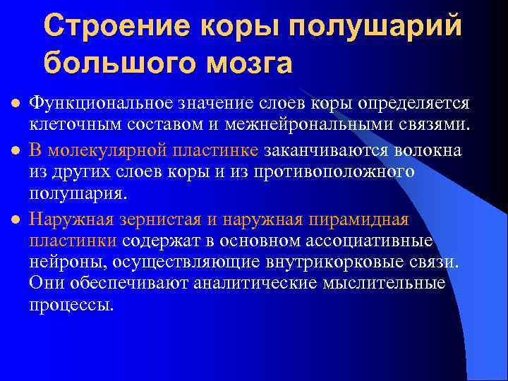 Строение коры полушарий большого мозга l l l Функциональное значение слоев коры определяется клеточным