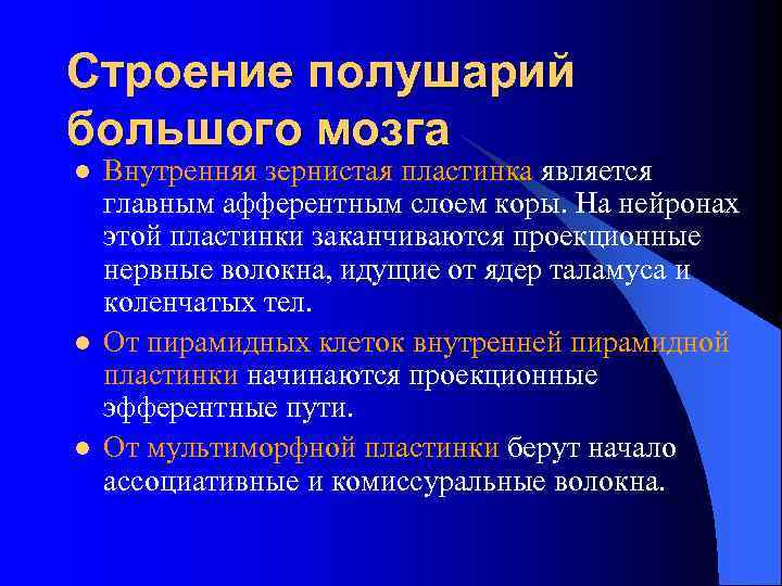 Строение полушарий большого мозга l l l Внутренняя зернистая пластинка является главным афферентным слоем