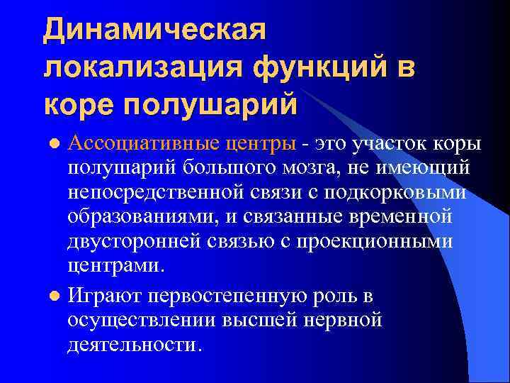 Динамическая локализация функций в коре полушарий Ассоциативные центры - это участок коры полушарий большого