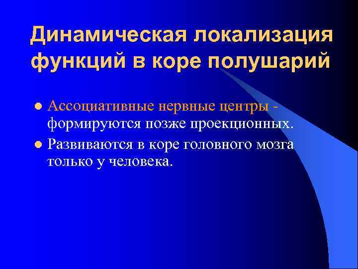 Динамическая локализация функций в коре полушарий Ассоциативные нервные центры формируются позже проекционных. l Развиваются