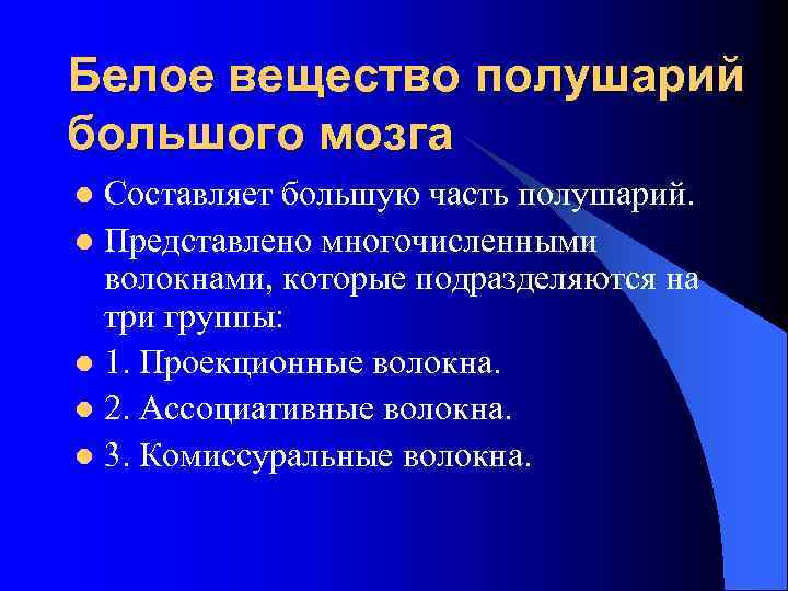 Белое вещество полушарий большого мозга Составляет большую часть полушарий. l Представлено многочисленными волокнами, которые