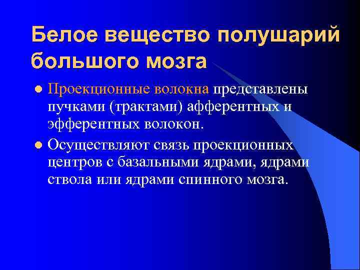 Белое вещество полушарий большого мозга Проекционные волокна представлены пучками (трактами) афферентных и эфферентных волокон.
