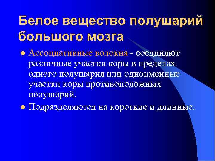 Белое вещество полушарий большого мозга Ассоциативные волокна - соединяют различные участки коры в пределах