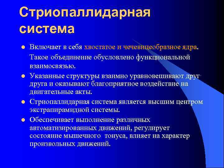Стриопаллидарная система l l Включает в себя хвостатое и чечевицеобразное ядра. Такое объединение обусловлено