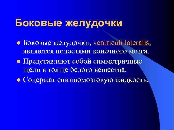 Боковые желудочки, ventriculi lateralis, являются полостями конечного мозга. l Представляют собой симметричные щели в