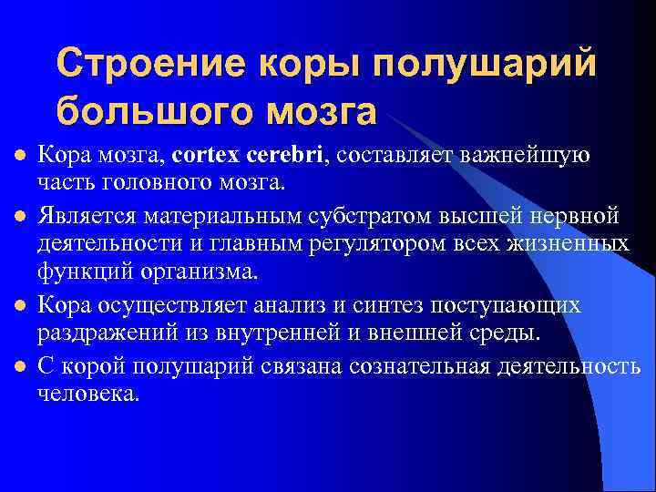 Строение коры полушарий большого мозга l l Кора мозга, cortex cerebri, составляет важнейшую часть