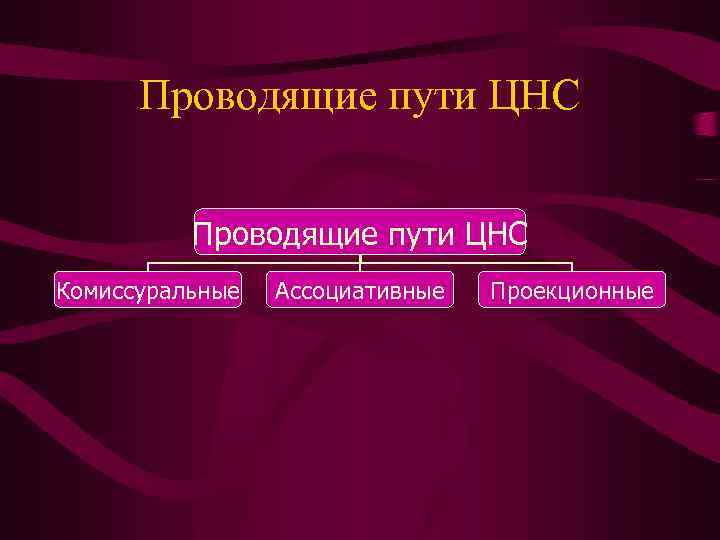 Проводящие пути ЦНС Комиссуральные Ассоциативные Проекционные 