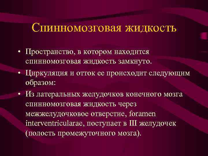 Спинномозговая жидкость • Пространство, в котором находится спинномозговая жидкость замкнуто. • Циркуляция и отток