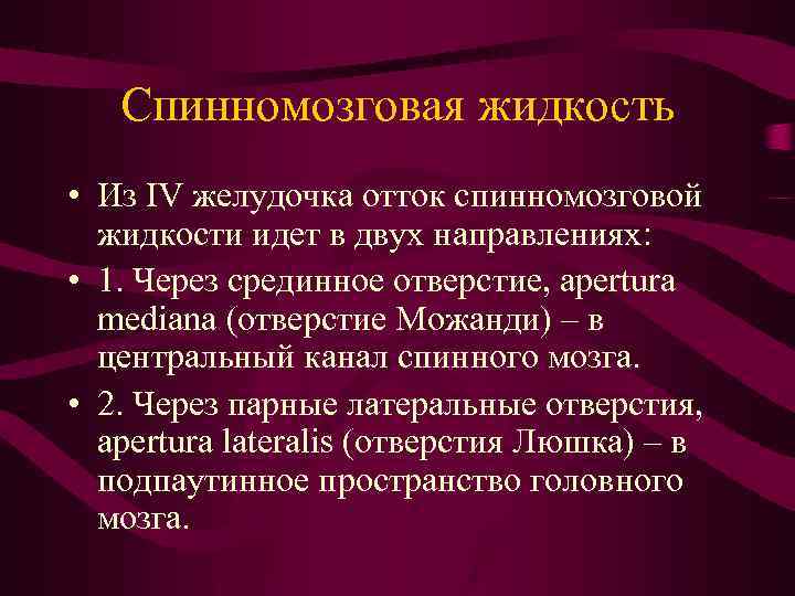 Спинномозговая жидкость • Из IV желудочка отток спинномозговой жидкости идет в двух направлениях: •