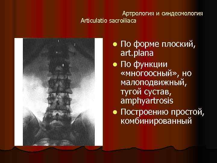 Артрология и синдесмология Articulatio sacroiliaсa По форме плоский, art. plana l По функции «многоосный»