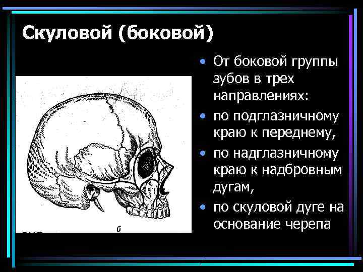 Скуловой (боковой) • От боковой группы зубов в трех направлениях: • по подглазничному краю