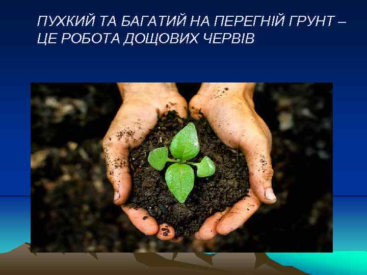 ПУХКИЙ ТА БАГАТИЙ НА ПЕРЕГНІЙ ГРУНТ – ЦЕ РОБОТА ДОЩОВИХ ЧЕРВІВ 