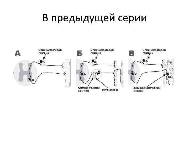 В предыдущей серии 