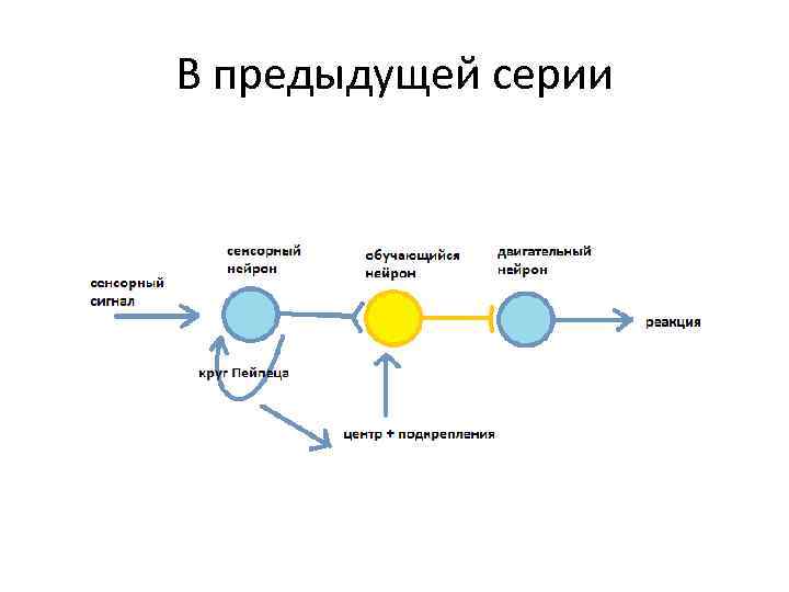 В предыдущей серии 