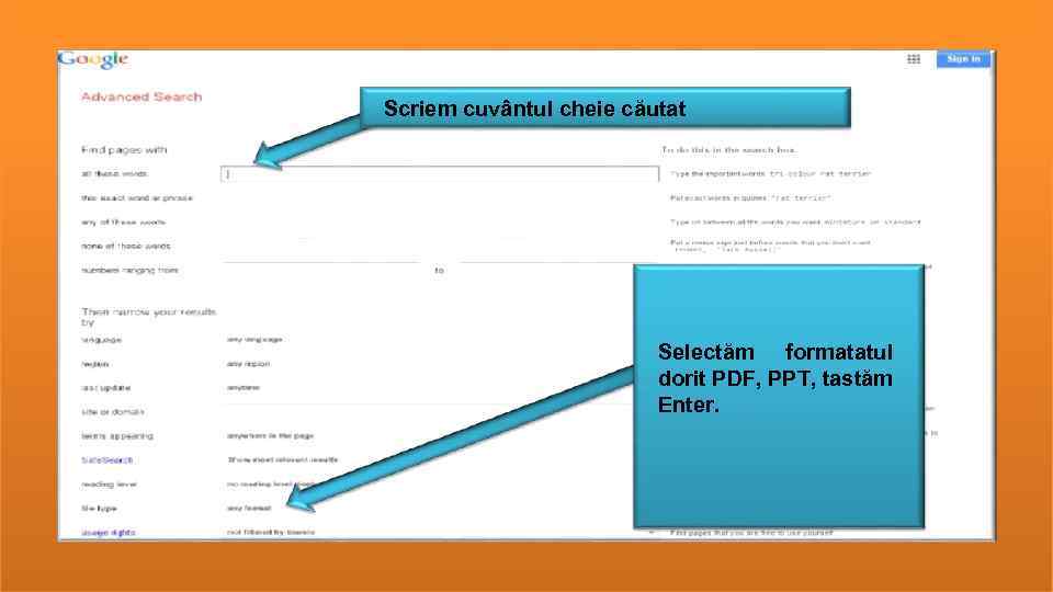 Scriem cuvântul cheie căutat Selectăm formatatul dorit PDF, PPT, tastăm Enter. 