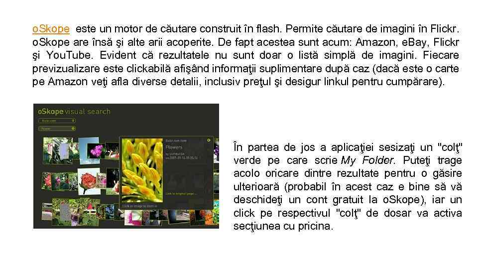 o. Skope este un motor de căutare construit în flash. Permite căutare de imagini