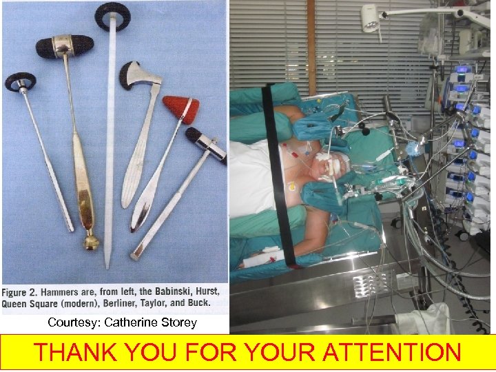 Courtesy: Catherine Storey THANK YOU FOR YOUR ATTENTION 