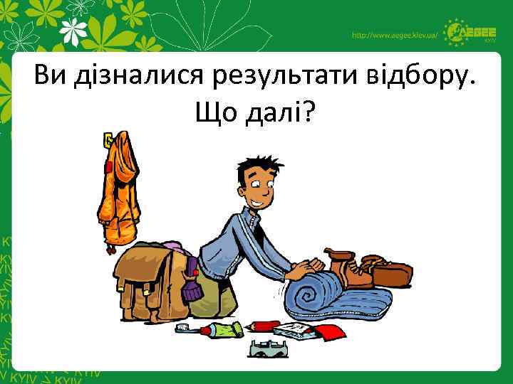 Ви дізналися результати відбору. Що далі? 