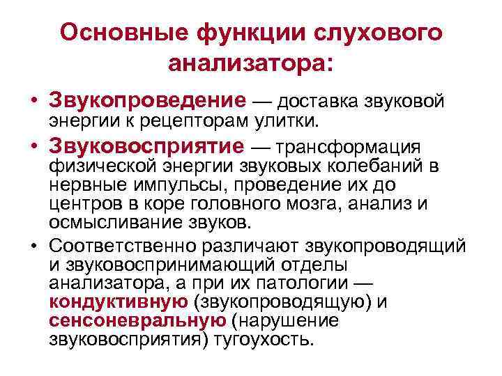 Основные функции слухового анализатора: • Звукопроведение — доставка звуковой энергии к рецепторам улитки. •