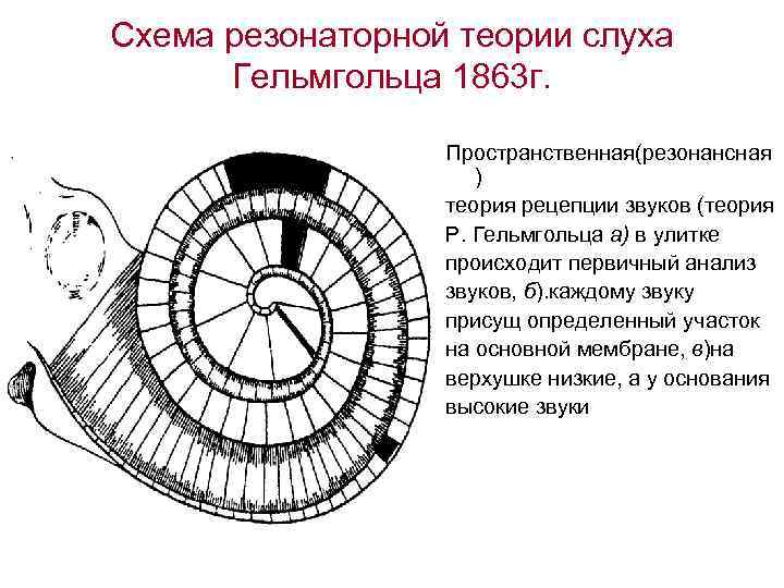 Гельмгольц глаз