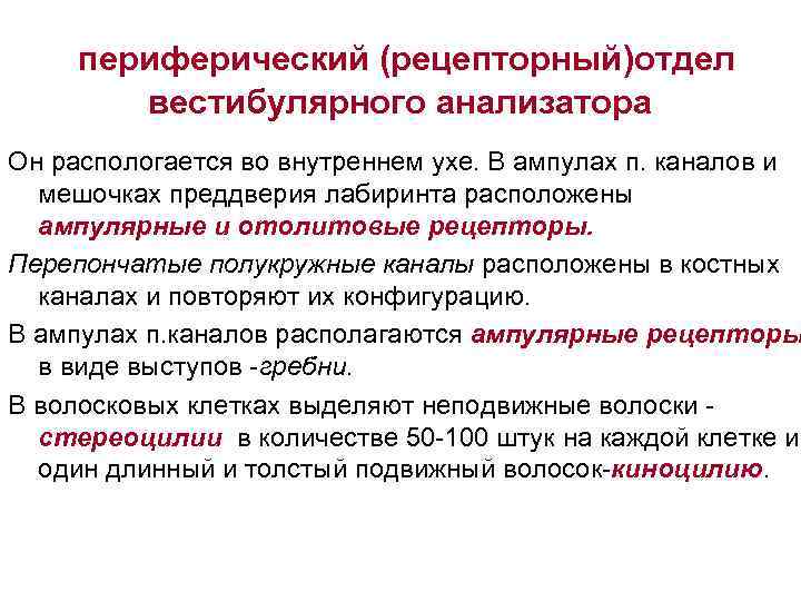 Периферический анализатор. Функции периферического отдела вестибулярного анализатора. Анализаторы вестибулярного аппарата периферический отдел. Рецепторный отдел вестибулярного анализатора функции. Вестибулярныйаналищатор проводниковый отдел.