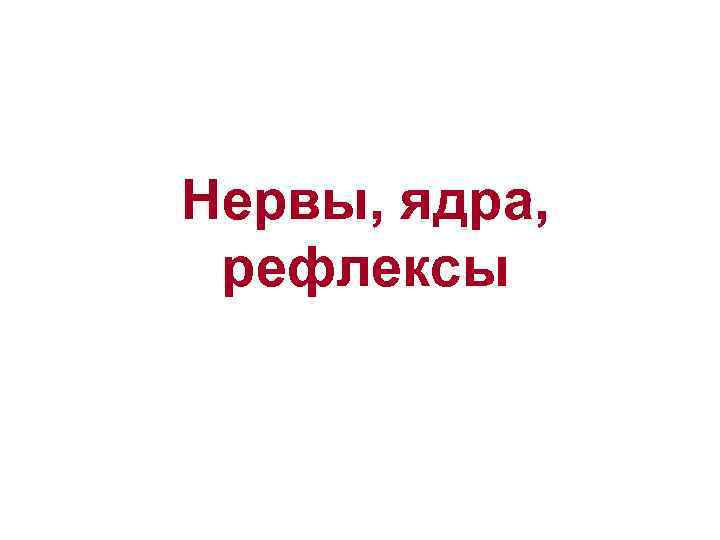 Нервы, ядра, рефлексы 