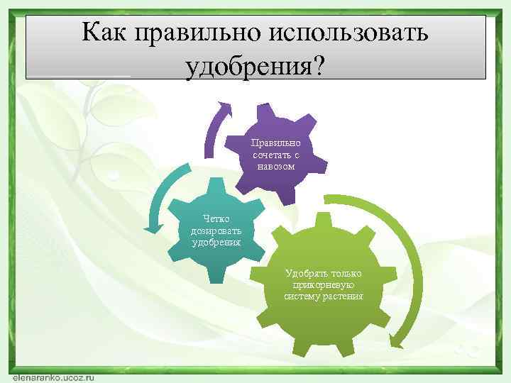 Как правильно использовать удобрения? Правильно сочетать с навозом Четко дозировать удобрения Удобрять только прикорневую