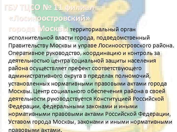  ГБУ ТЦСО № 11 филиал «Лосиноостровский» города Москвы территориальный орган исполнительной власти города,