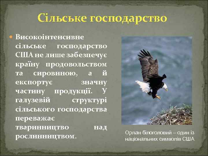 Сільське господарство Високоінтенсивне сільське господарство США не лише забезпечує країну продовольством та сировиною, а