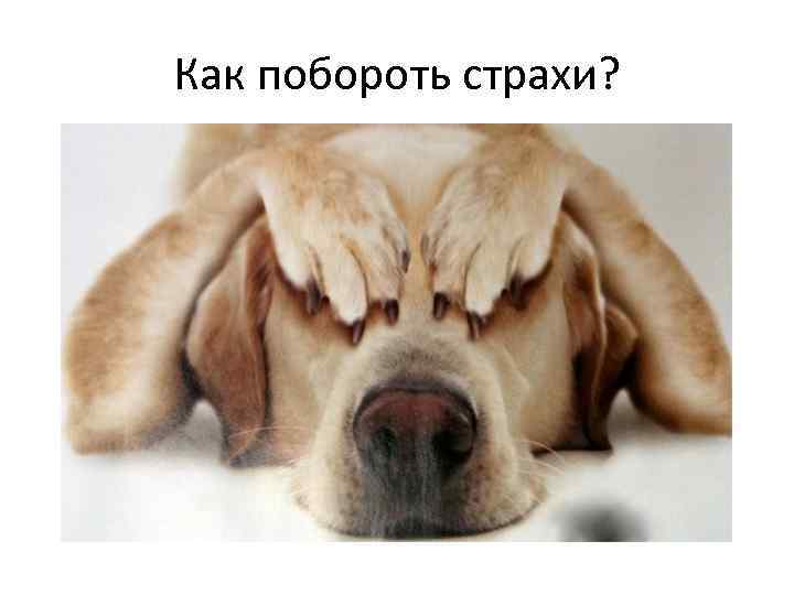 Как побороть страхи? 