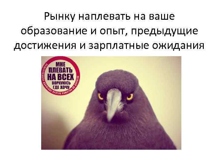 Рынку наплевать на ваше образование и опыт, предыдущие достижения и зарплатные ожидания 