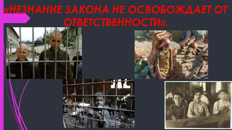  «НЕЗНАНИЕ ЗАКОНА НЕ ОСВОБОЖДАЕТ ОТ ОТВЕТСТВЕННОСТИ» . 