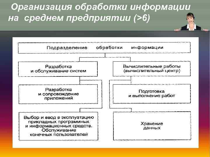 Организация обработки информации на среднем предприятии (>6) 