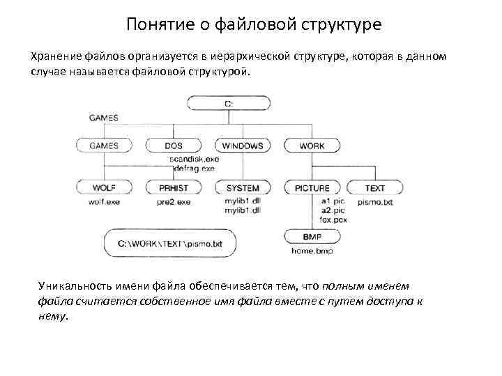 Понятие о файловой структуре Хранение файлов организуется в иерархической структуре, которая в данном случае