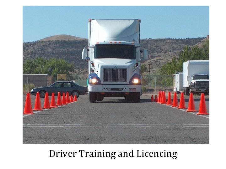 Driver Training and Licencing 