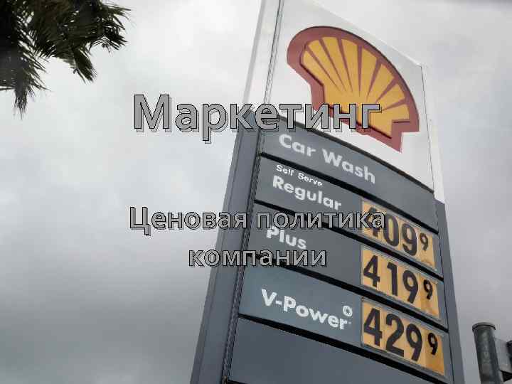 Маркетинг Ценовая политика компании 