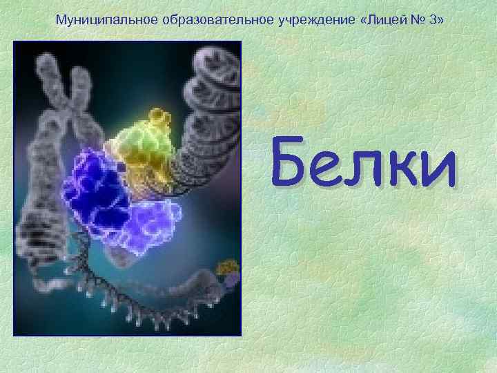 Муниципальное образовательное учреждение «Лицей № 3» Белки 