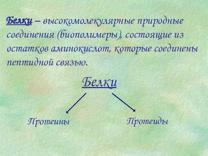 Белки – высокомолекулярные природные соединения (биополимеры), состоящие из остатков аминокислот, которые соединены пептидной связью.
