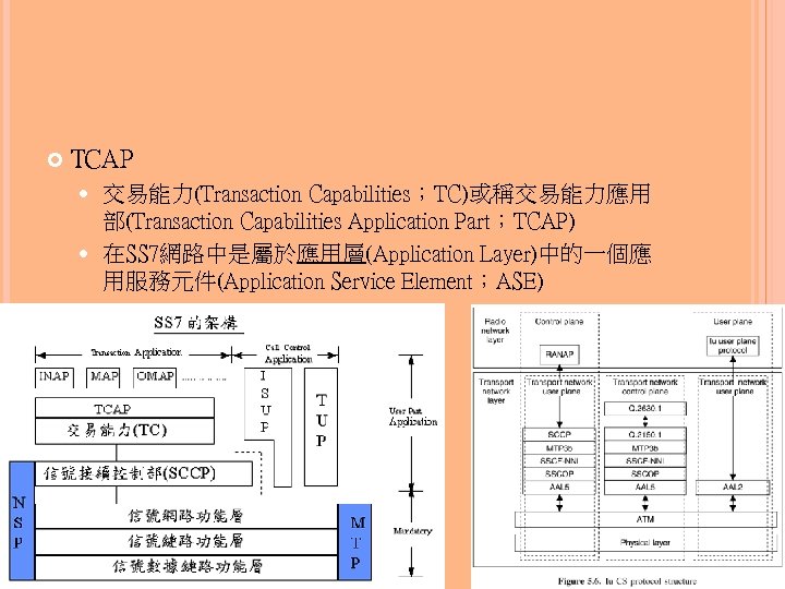  TCAP 交易能力(Transaction Capabilities；TC)或稱交易能力應用 部(Transaction Capabilities Application Part；TCAP) 在SS 7網路中是屬於應用層(Application Layer)中的一個應 用服務元件(Application Service Element；ASE)