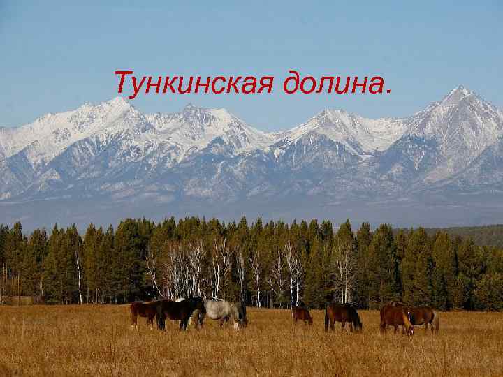 Тункинская долина. 