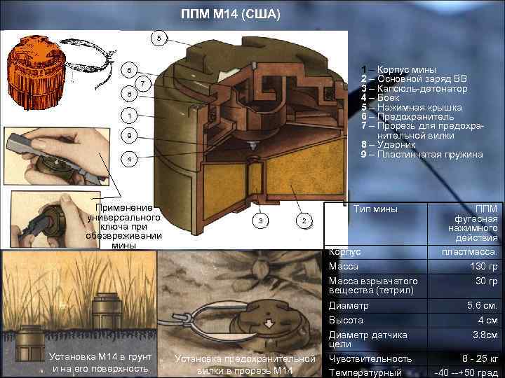 ППМ М 14 (США) 5 1 – Корпус мины 2 – Основной заряд ВВ
